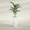 San Jose Large Tall Round Fluted Fiberglass Planter - 16 in x 16 in x 30 in - Gloss White - Gloss White,16 in x 16 in x 30 in