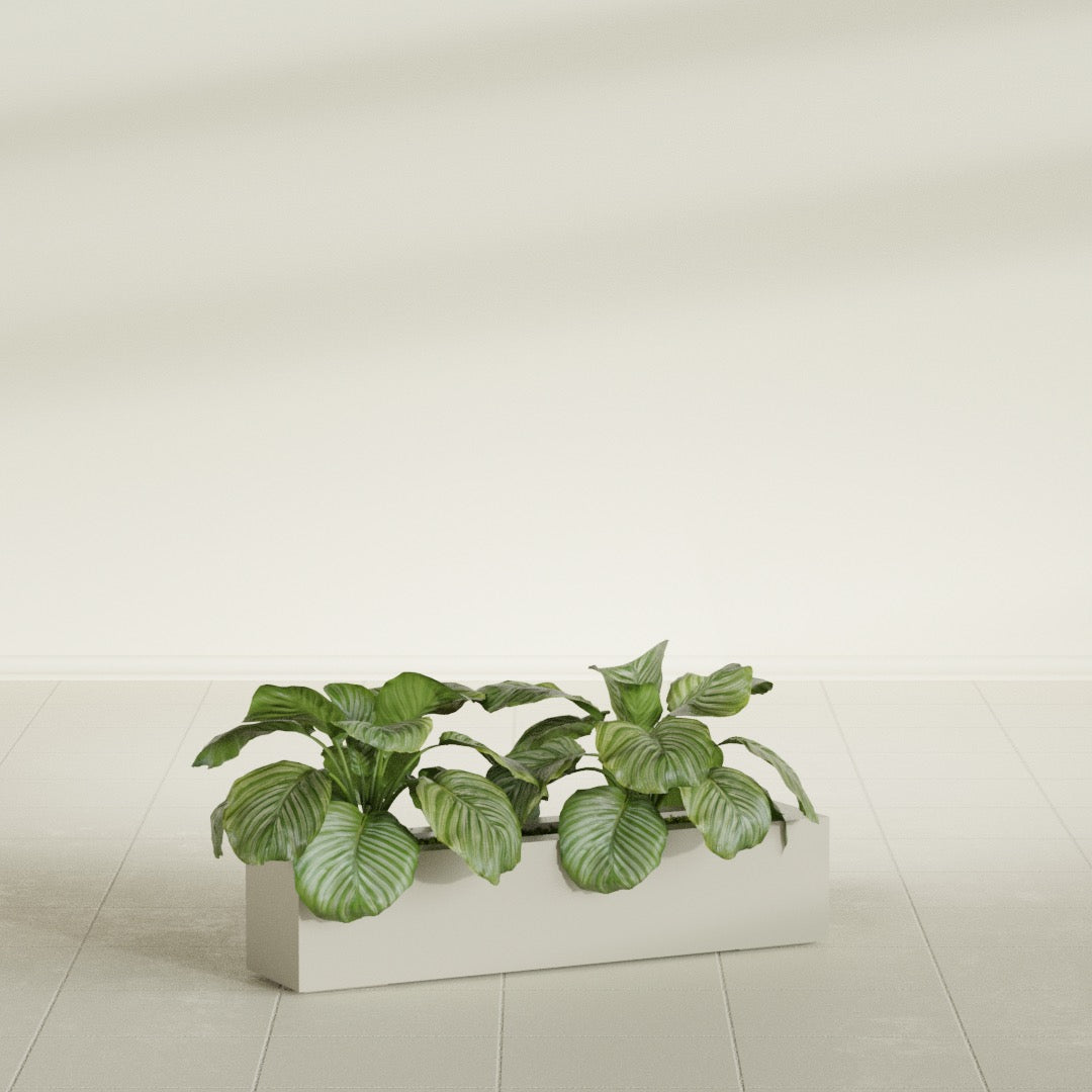 Salon Large Tall Rectangle Fiberglass Planter - 36 in x 8 in x 8 in - Satin Beige - Satin Beige,36 in x 8 in x 8 in