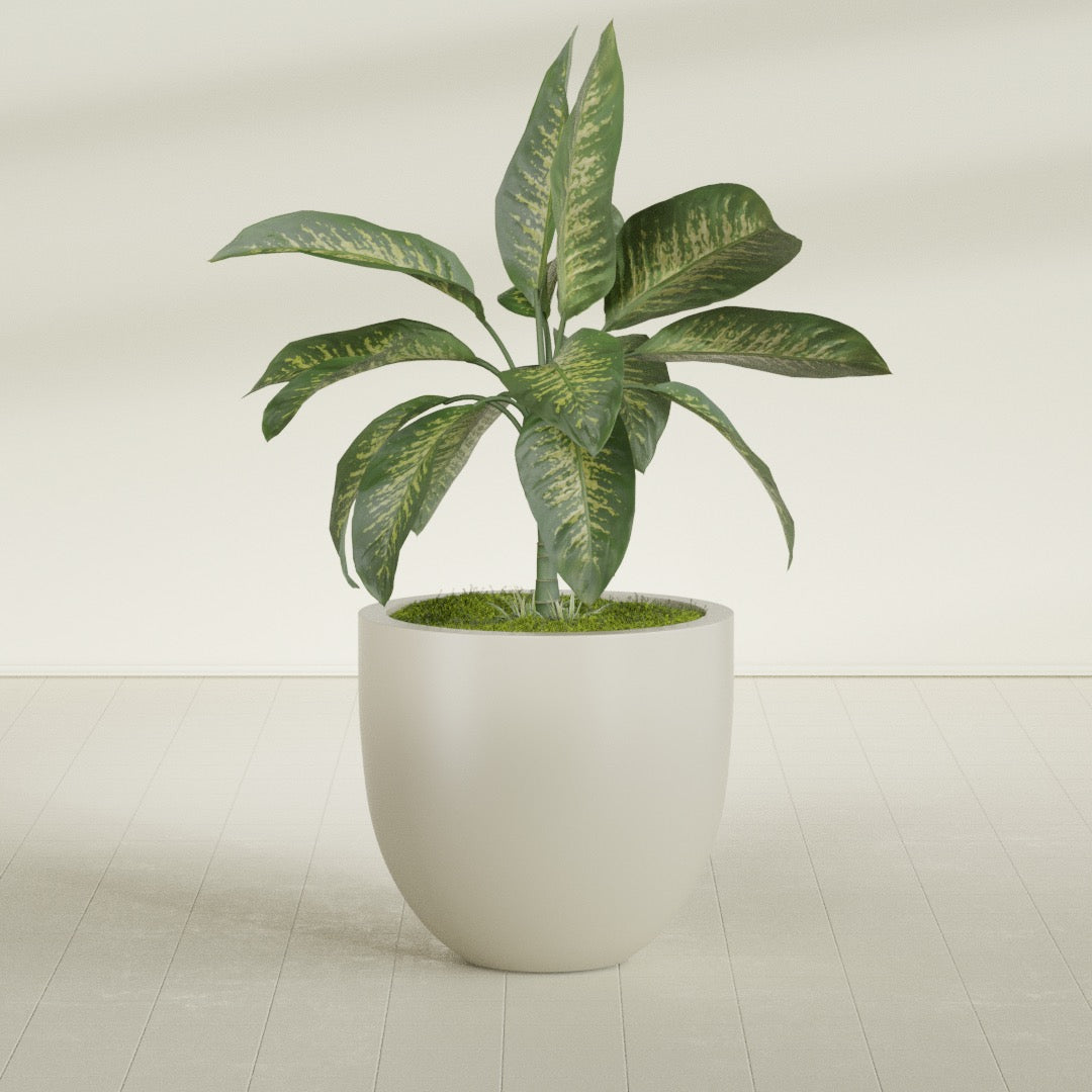 Alzira Large Round Fiberglass Planter - 30 in x 30 in x 28 in - Satin Beige - Satin Beige,30 in x 30 in x 28 in