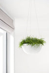 Hanging Brussels Small Bowl Planter - 10.5 in x 10.5 in x 5 in - Pure White - Pure White,10.5 in x 10.5 in x 5 in