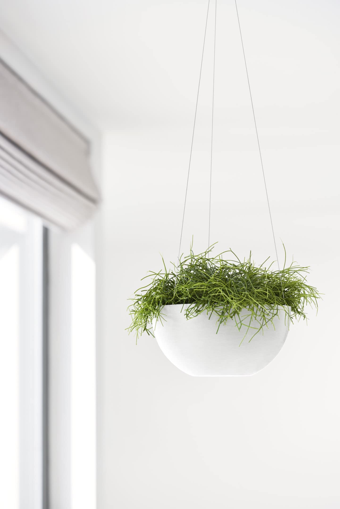 Hanging Brussels Small Bowl Planter - 10.5 in x 10.5 in x 5 in - Pure White - Pure White,10.5 in x 10.5 in x 5 in