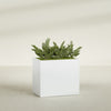 Brisbane Large Rectangle Fiberglass Planter - 36 in x 24 in x 32 in - Matte White - Matte White,36 in x 24 in x 32 in