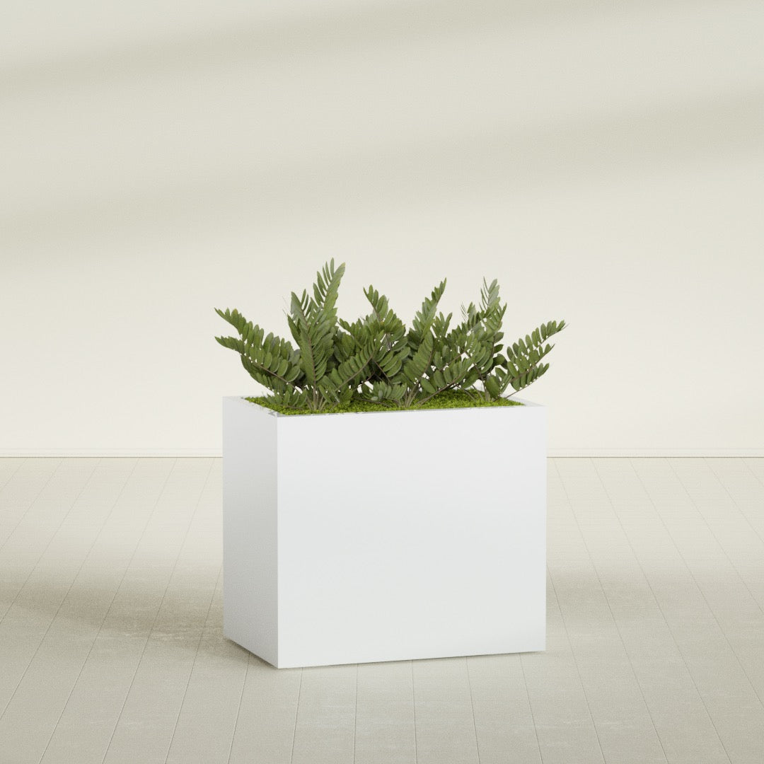 Brisbane Large Rectangle Fiberglass Planter - 36 in x 24 in x 32 in - Matte White - Matte White,36 in x 24 in x 32 in