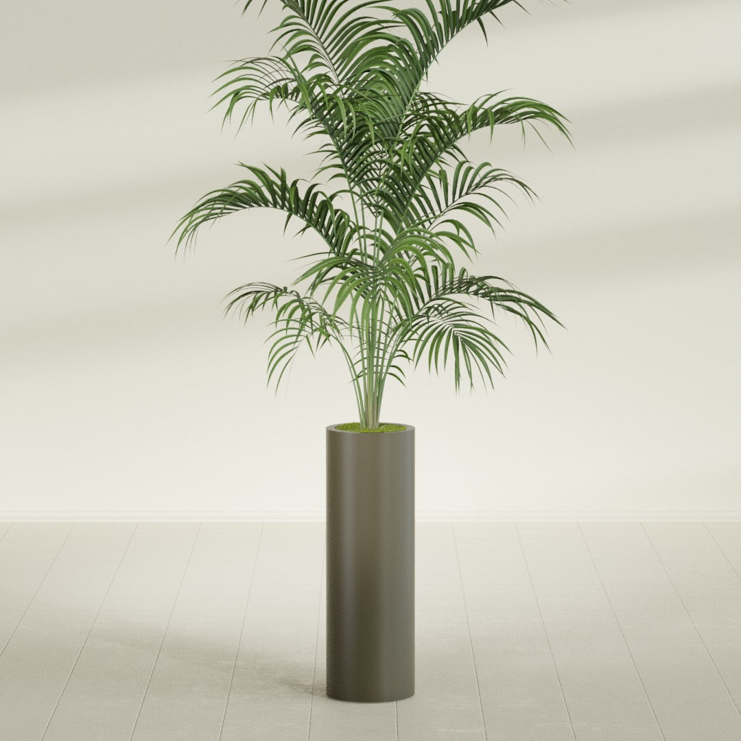 Corry Large Tall Cylinder Fiberglass Planter - 10 in x 10 in x 30 in - Matte Bronze - Matte Bronze,10 in x 10 in x 30 in