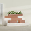 Antwerp Medium Low Rectangle Fiberglass Planter - 24 in x 24 in x 12 in - Matte Terracotta - Matte Terracotta,24 in x 24 in x 12 in