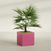Montroy Large Cube Square Fiberglass Planter - 32 in x 32 in x 32 in - Gloss Pink Violet - Gloss Pink Violet,32 in x 32 in x 32 in