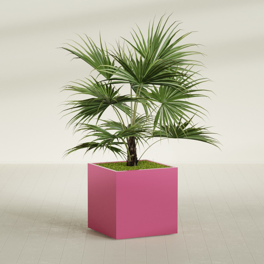 Montroy Large Cube Square Fiberglass Planter - 32 in x 32 in x 32 in - Gloss Pink Violet - Gloss Pink Violet,32 in x 32 in x 32 in