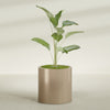 Rio Grande Medium Round Fiberglass Planter - 22 in x 22 in x 22 in - Metallic Gold - Metallic Gold,22 in x 22 in x 22 in