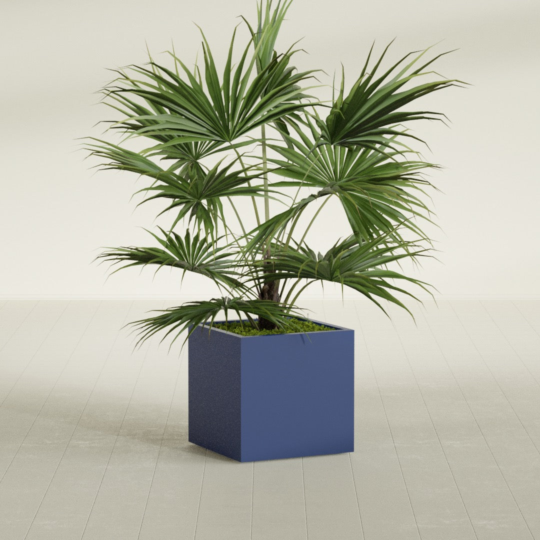 Montroy Medium Cube Square Fiberglass Planter - 24 in x 24 in x 24 in - Matte Cobalt Blue - Matte Cobalt Blue,24 in x 24 in x 24 in