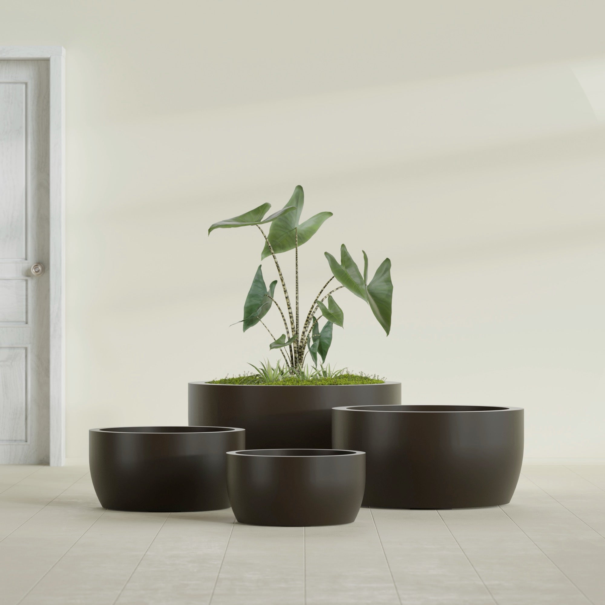 Casablanca Large Round Low Bowl Fiberglass Planter - 36 in x 36 in x 18 in - Matte Brown - Matte Brown,36 in x 36 in x 18 in