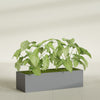 Reade Small Tabletop Rectangle Fiberglass Planter - 18 in x 6.5 in x 5 in - Metallic Gunmetal - Metallic Gunmetal,18.5 in x 6.5 in x 5 in
