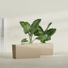 Panama Large Long Rectangle Fiberglass Planter - 36 in x 12 in x 18 in - Metallic Gold - Metallic Gold,36 in x 12 in x 18 in