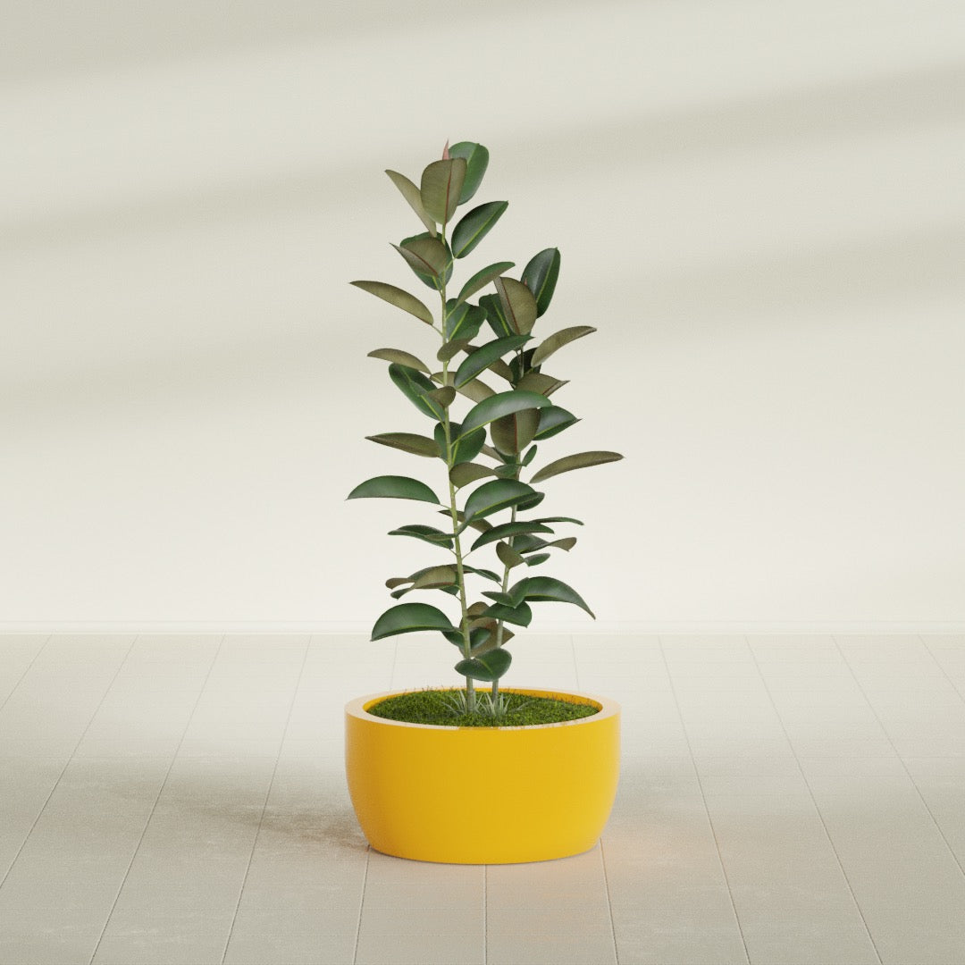 Casablanca Medium Round Low Bowl Fiberglass Planter - 24 in x 24 in x 12 in - Gloss Saffron - Gloss Saffron,24 in x 24 in x 12 in