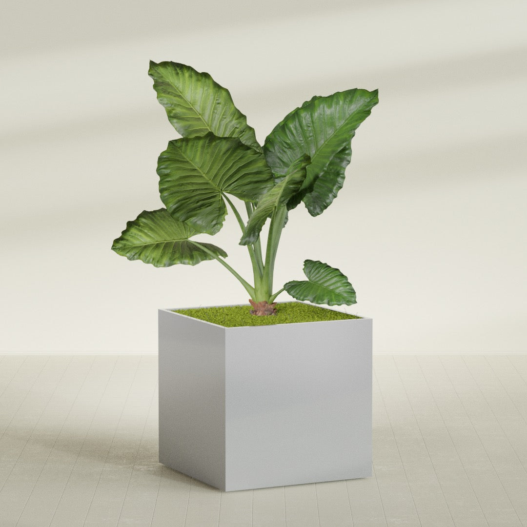Montroy Extra Large Cube Square Fiberglass Planter - 48 in x 48 in x 48 in - Metallic Silver - Metallic Silver,48 in x 48 in x 48 in