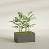 Torino Large Wide Rectangle Fiberglass Planter - 36 in x 24 in x 18 in - Matte Bronze - Matte Bronze,36 in x 24 in x 18 in