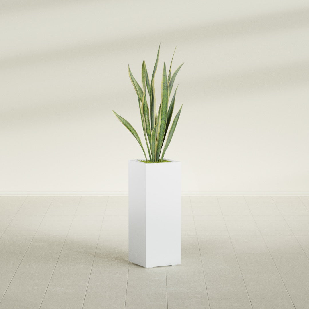 Delray Large Tall Rectangle Fiberglass Planter - 12 in x 12 in x 32 in - Gloss White - Gloss White,12 in x 12 in x 32 in