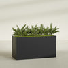 Brisbane Extra Large Long Rectangle Fiberglass Planter - 60 in x 24 in x 32 in - Matte Black - Matte Black,60 in x 24 in x 32 in
