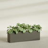 Miami Extra Large Narrow Rectangle Fiberglass Planter - 60 in x 12 in x 18 in - Matte Bronze - Matte Bronze,60 in x 12 in x 18 in