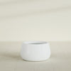 Short Hayden Small Round Fiberglass Planter - 16 in x 16 in x 8 in - Matte White - Matte White,16 in x 16 in x 8 in