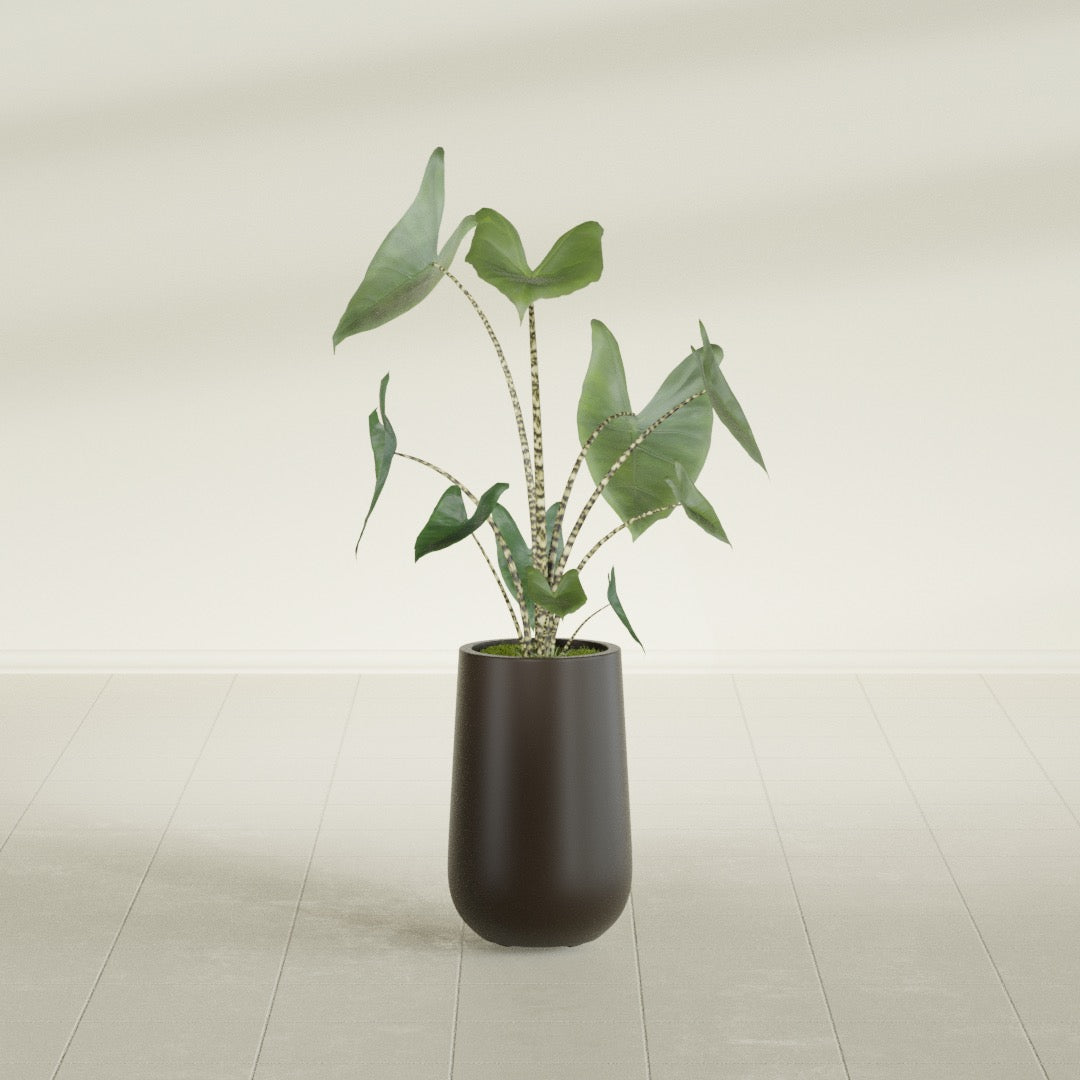 Tall Hayden Medium Round Fiberglass Planter - 18 in x 18 in x 29 in - Matte Brown - Matte Brown,18 in x 18 in x 29 in