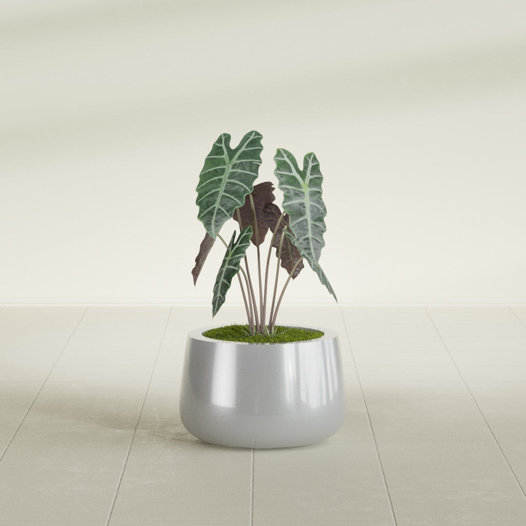 Short Hayden Small Round Fiberglass Planter - 12 in x 12 in x 7 in - Metallic Silver - Metallic Silver,12 in x 12 in x 7 in