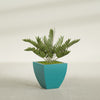 Lima Medium Tapered Square Fiberglass Planter - 20 in x 20 in x 20 in - Satin Sea Foam - Satin Sea Foam,20 in x 20 in x 20 in