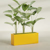 Tolga Extra Large Long Rectangle Fiberglass Planter - 60 in x 16 in x 24 in - Gloss Saffron - Gloss Saffron,60 in x 16 in x 24 in