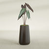 Saigon Large Tapered Round Planter - 14 in x 14 in x 30 in - Matte Brown - Matte Brown,13.7 in x 13.7 in 30 in