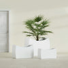 Seoul Large Curved Abstract Fiberglass Planter - 36 in x 16 in x 24 in - Matte White - Matte White,36 in x 16 in x 24 in