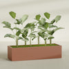 Torino Extra Large Wide Rectangle Fiberglass Planter - 72 in x 24 in x 18 in - Matte Terracotta - Matte Terracotta,72 in x 24 in x 18 in