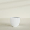 Wannsee Large Round Fiberglass Planter - 39 in x 39 in x 34 in - Matte White - Matte White,39 in x 39 in x 34 in