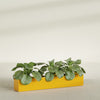 Salon Large Tall Rectangle Fiberglass Planter - 48 in x 8 in x 8 in - Gloss Saffron - Gloss Saffron,48 in x 8 in x 8 in