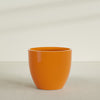 Wannsee Extra Large Round Fiberglass Planter - 50 in x 50 in x 44 in - Gloss Tangerine - Gloss Tangerine,50 in x 50 in x 44 in