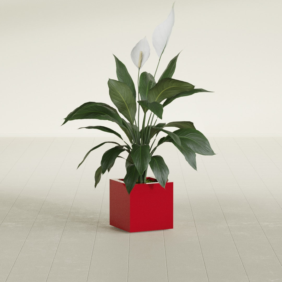 Montroy Small Cube Square Fiberglass Planter - 12 in x 12 in x 12 in - Gloss Red - Gloss Red,12 in x 12 in x 12 in