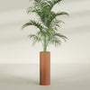 Corry Large Tall Cylinder Fiberglass Planter - 10 in x 10 in x 30 in - Matte Terracotta - Matte Terracotta,10 in x 10 in x 30 in