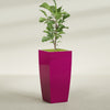 Toulan Extra Large Tall Tapered Square Fiberglass Planter - 23 in x 23 in x 48 in - Gloss Eggplant - Gloss Eggplant,23 in x 23 in x 48 in