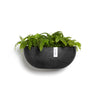 Sofia Wall Small Conical Wall Planter - 16.5 in x 10 in x 7 in - Dark Grey - Dark Grey,16.5 in x 16.5 in x 7 in