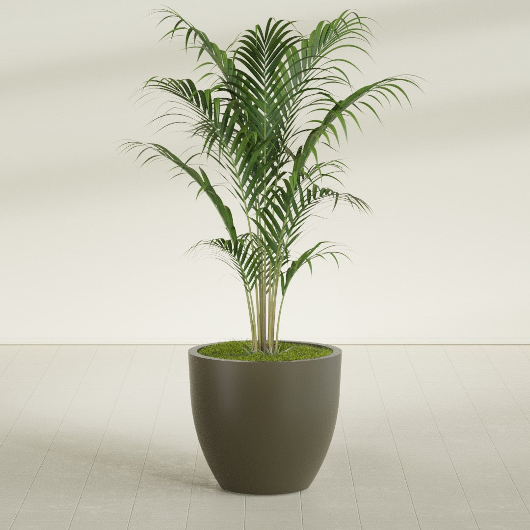 Wannsee Large Round Fiberglass Planter - 33 in x 33 in x 29 in - Matte Bronze - Matte Bronze,33 in x 33 in x 29 in