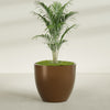 Wannsee Extra Large Round Fiberglass Planter - 50 in x 50 in x 44 in - Metallic Bronze - Metallic Bronze,50 in x 50 in x 44 in