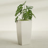 Toulan Large Tall Tapered Square Fiberglass Planter - 20 in x 20 in x 42 in - Satin Beige - Satin Beige,20 in x 20 in x 42 in