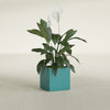 Montroy Small Cube Square Fiberglass Planter - 16 in x 16 in x 16 in - Satin Sea Foam - Satin Sea Foam,16 in x 16 in x 16 in