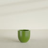 Alzira Medium Round Fiberglass Planter - 23 in x 23 in x 22 in - Satin Green - Satin Green,23 in x 23 in x 22 in