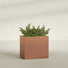 Brisbane Large Rectangle Fiberglass Planter - 36 in x 24 in x 32 in - Matte Terracotta - Matte Terracotta,36 in x 24 in x 32 in
