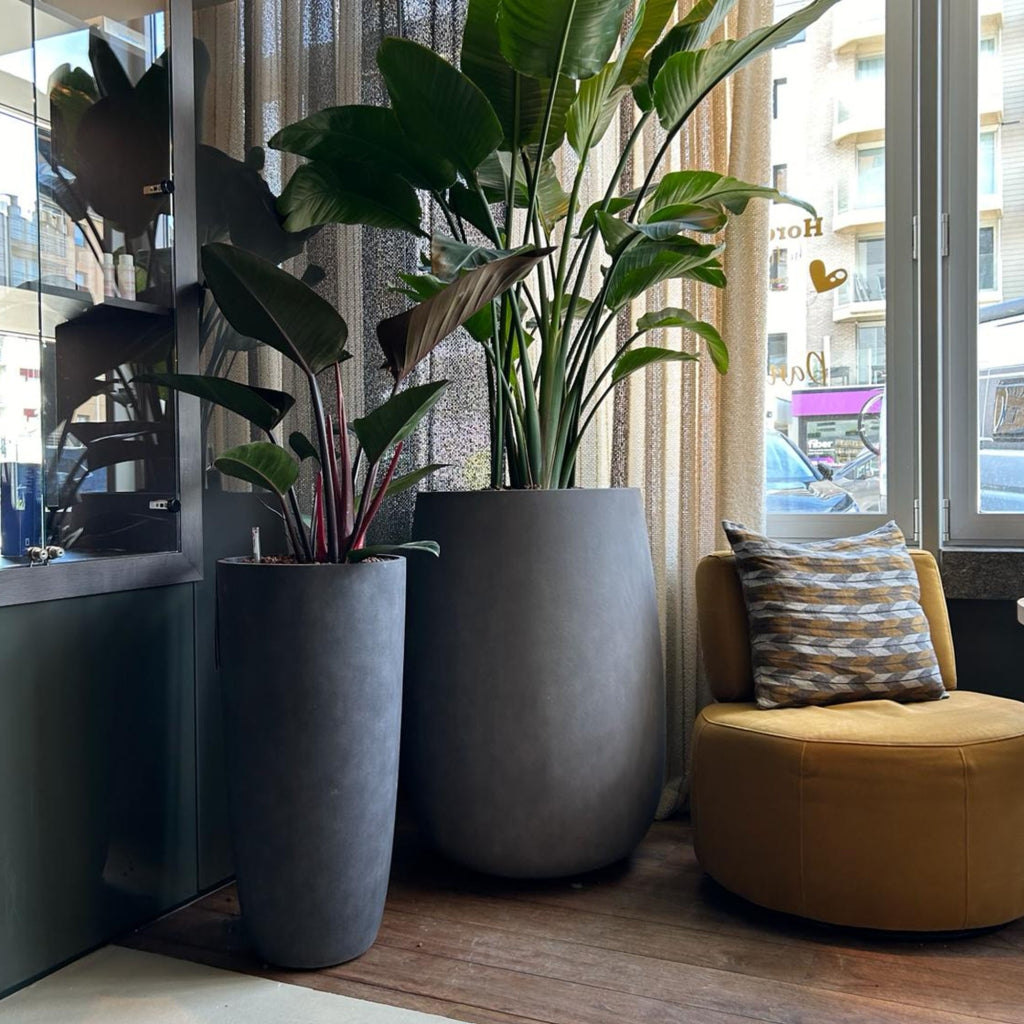 Lofto Tall Planter – Brown Stone Finish – Fiberglass Indoor/Outdoor and Weather-Resistant Large Planter (16.5" D x 36.5" H Exterior, 15.3" D x 36.2" H Interior) - Brown Stone,16.5 in diam. x 36.4 in