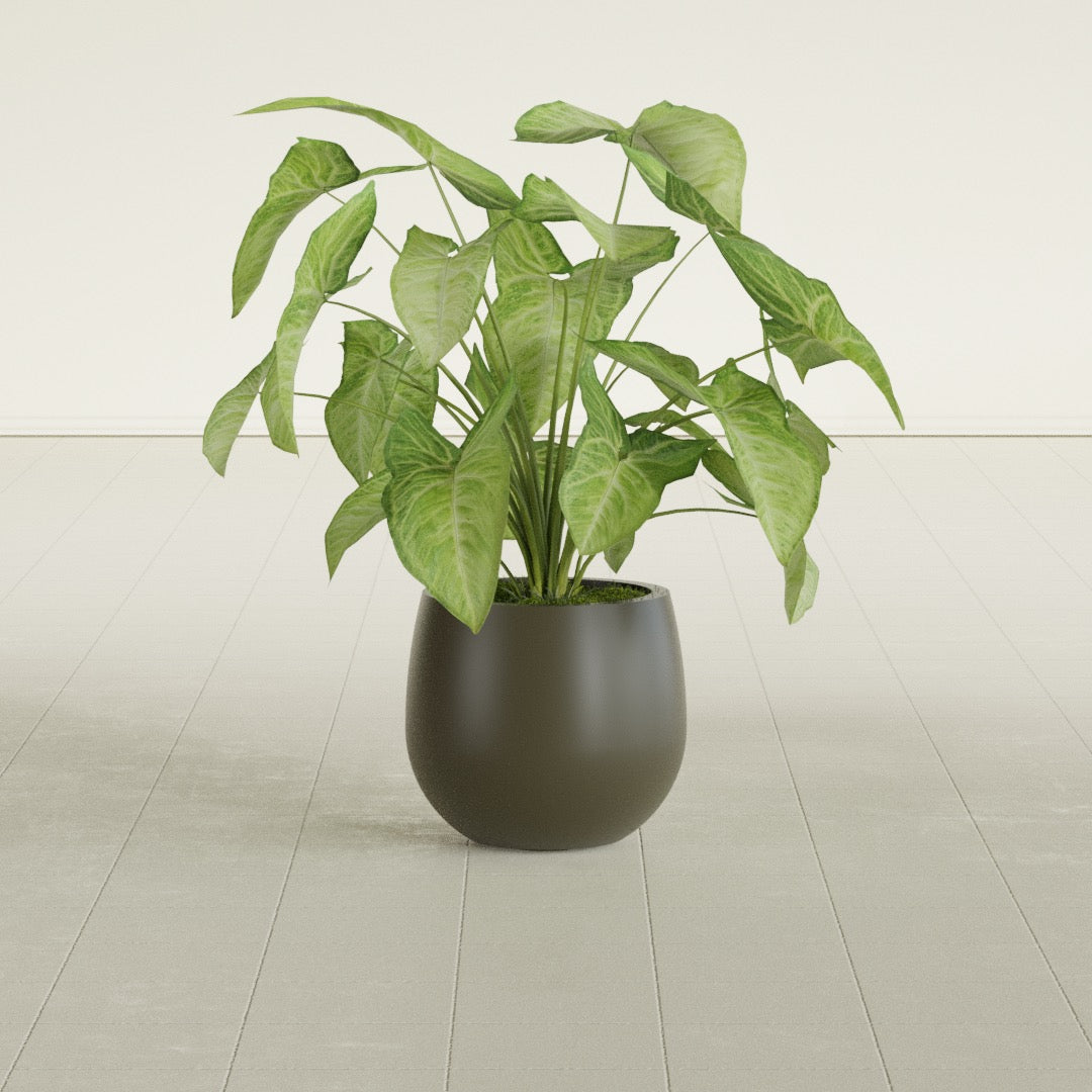 Westfield - 10in diam. x 9in - Matte Bronze - Matte Bronze,10 in diam. x 9 in H