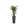 Rotterdam Medium Tall Square Planter - 12.6 in x 12.6 in x 27.5 in - Dark Grey - Dark Grey,12.5 in x 12.5 in x 27.5 in,Planter Only