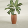 Lisbon Medium Round Fiberglass Planter - 14 in x 14 in x 25 in - Matte Terracotta - Matte Terracotta,14 in x 14 in x 25 in