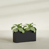 Miami Large Narrow Rectangle Fiberglass Planter - 36 in x 12 in x 18 in - Matte Black - Matte Black,36 in x 12 in x 18 in