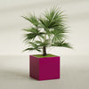Montroy Large Cube Square Fiberglass Planter - 32 in x 32 in x 32 in - Gloss Eggplant - Gloss Eggplant,32 in x 32 in x 32 in
