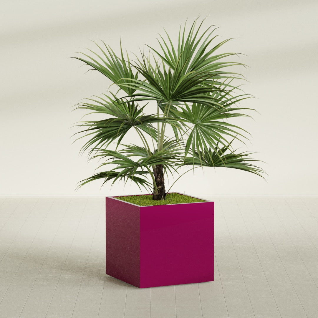 Montroy Large Cube Square Fiberglass Planter - 32 in x 32 in x 32 in - Gloss Eggplant - Gloss Eggplant,32 in x 32 in x 32 in